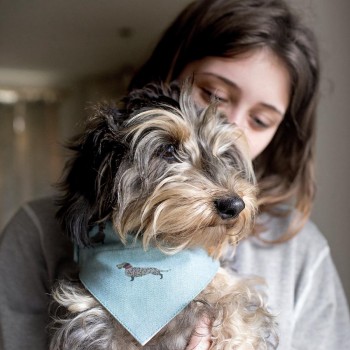 Dackel Halsband, Dackelbandana mit Namen, personalisierbares Dackel Halstuch, Dackelgeschenke von Sophie Allport