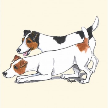 Zierkissen "Jack Russell...