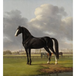 nostalgische Pferdebilder, Pferdeportraits, Pferdegemälde, Pferdedrucke, Pferdeleinwände, Geschenke für ReiterInnen