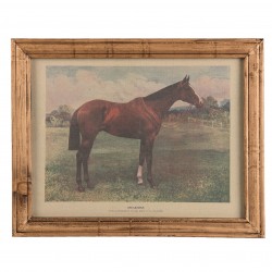 Gerahmtes Vintage Pferdebild