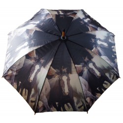 Reiter Regenschirm