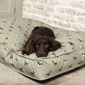 Spaniel Hundebetten von Sophie Allport, Designer Hundebetten mit Hundemotiven, Designer Hundekissen